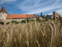 Medi-tour Polen. Medizin und Gesundheitstouristik in Polen.