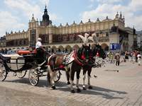 Medi-tour Polen. Medizin und Gesundheitstouristik in Polen.