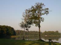 Medi-tour Polen. Medizin und Gesundheitstouristik in Polen.