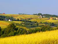 Medi-tour Polen. Medizin und Gesundheitstouristik in Polen.